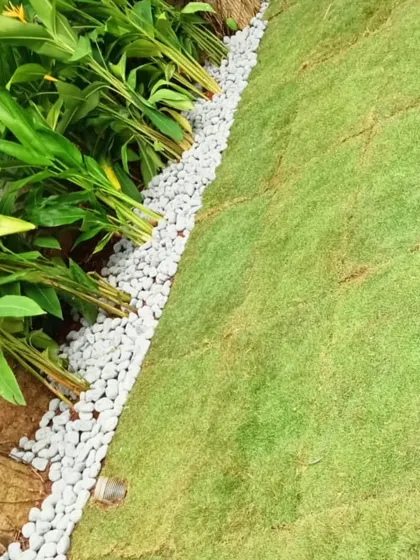 A close-up of the grass and pebble work. The white pebbles create a beautiful contrast with the green lawn and plants.