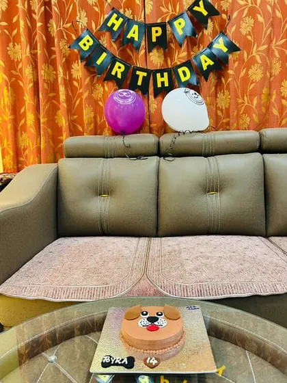 A full view of Byra's birthday setup. The "Happy Birthday" banner you see is part of our affordable party box, which makes decorating for your pup's big day simple and fun.