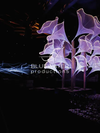 An artistic shot of the light installation, capturing its ethereal quality.