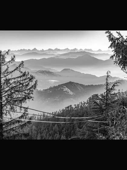 The vast Himalayan range seen from Fagu, framed by pine trees. This black and white photograph captures the crisp morning air and the sheer scale of the mountains, a classic example of fine art mountain photography.