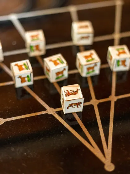 A close-up of the unique dice and pieces for a traditional board game, inviting guests to learn something new.