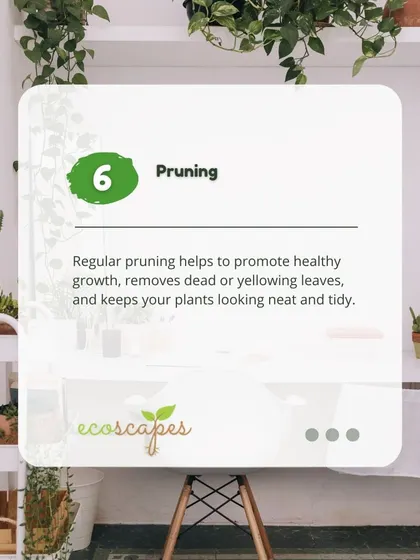 Indoor Tip 6: Pruning. Regular pruning of dead or yellowing leaves not only keeps your plants looking tidy but also encourages healthy new growth.