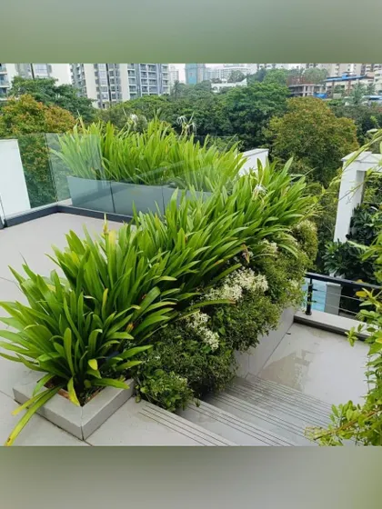 Lush, upright foliage in raised planters adds height and texture to this rooftop staircase. The planting design follows the lines of the architecture, creating a green pathway between different levels of the terrace.