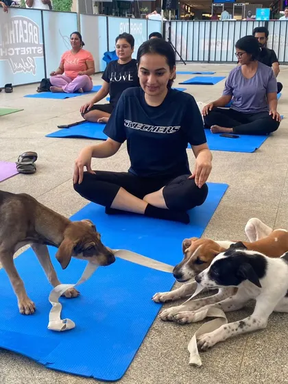 The puppies often have their own idea of what yoga is. This session involved a lot of playful interruptions and happy licks.