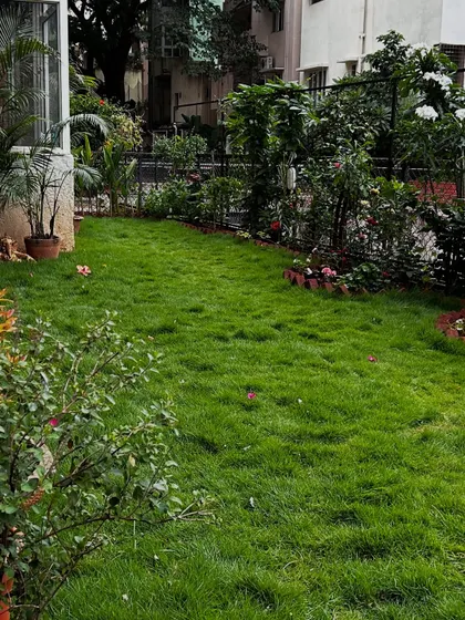 A wide view of a beautiful backyard garden. The expansive green lawn is surrounded by well-maintained flower beds and shrubs, creating a perfect space for family activities and relaxation.