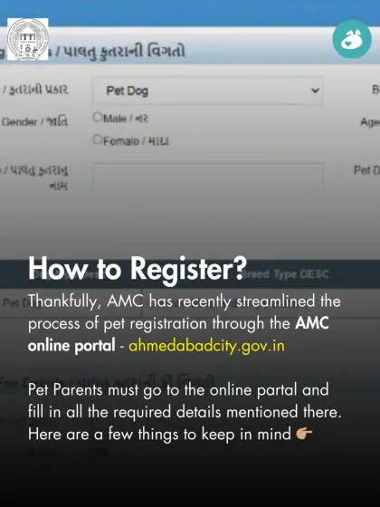 How to register your pet in Ahmedabad? We provide a clear guide on using the AMC online portal and the steps required to complete the process.