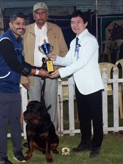 A Rottweiler and his handler accepting a well-deserved trophy at the dog show.