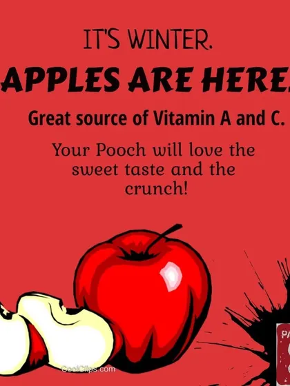 Seasonal fruits are great for your dog. When apples are in season, their sweet taste and satisfying crunch make for a perfect, healthy treat packed with vitamins A and C.