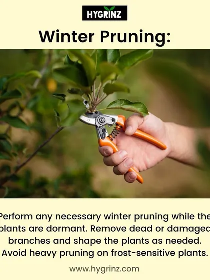 Winter is the ideal time for pruning dormant plants. Learn how to remove dead or damaged branches to shape your plants for healthy spring growth.