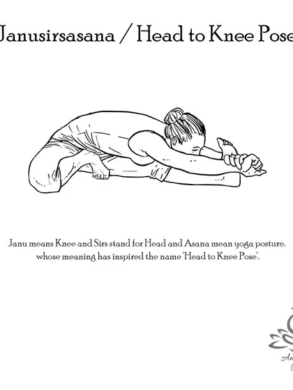 Janusirsasana (Head to Knee Pose) calms the mind, stretches the spine and hamstrings, and stimulates the liver and kidneys, aiding digestion.