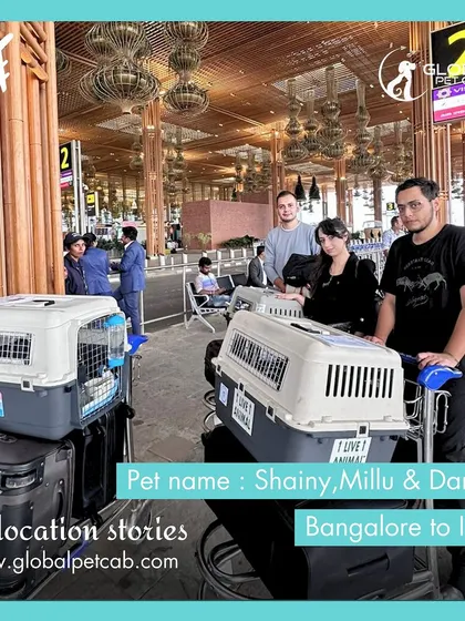 The family of Danny, Milu, and Shaini at the Bangalore airport. They are all set for their flight to Iran, with their three cats safely secured in their travel crates.