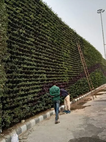 My team and I can handle projects of any size. This image shows a massive living green wall we installed for a large commercial property. This kind of large-scale biowall not only looks impressive but also helps improve the surrounding air quality.