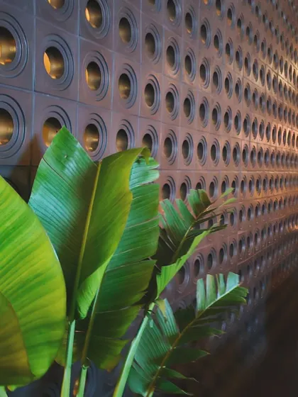 A modern application of breeze blocks. These concrete blocks, inspired by mid-century and Brutalist architecture, are used here to create a functional and decorative wall that plays with light and shadow.