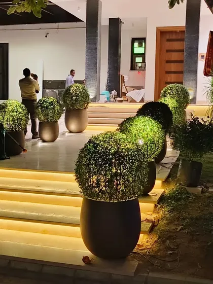 The same entrance topiaries seen at night, with strategic lighting that highlights their shape and creates a dramatic effect.