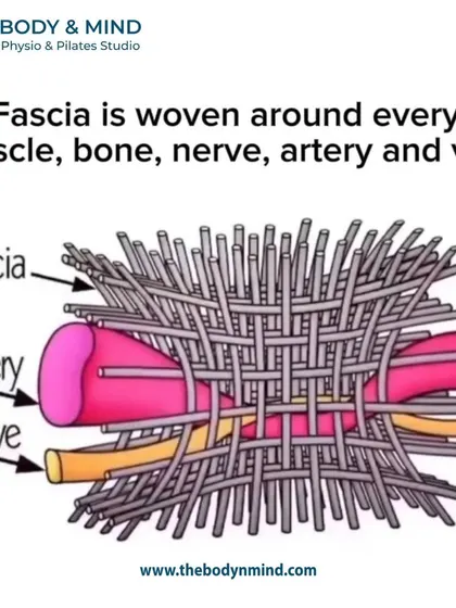 Fascia is woven around every muscle, bone, and nerve. Adhesions in this network can limit mobility and cause pain in seemingly unrelated areas.