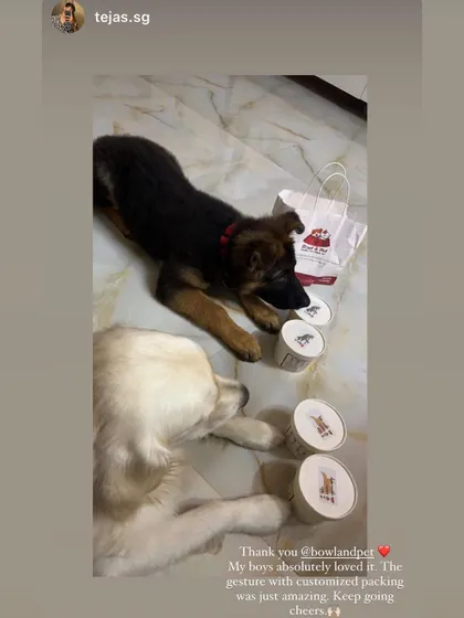 Cooper and Charlie, a German Shepherd and a Golden Retriever, loved their meals! We even add customized packing to make each delivery special for your boys and girls.