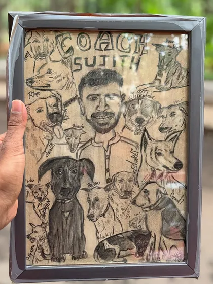 A close-up of the amazing caricature, showing all the dogs of Cubbon Park that are part of my daily life.
