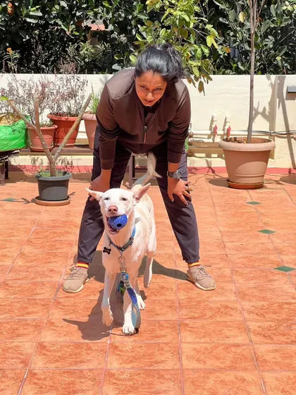 Kasper, the wonder boy. This happy Indie dog is full of joy and confidence after our training sessions. It's amazing to see him thrive.