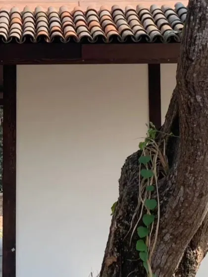 A detail of a traditional tiled roof meeting a simple white wall, with an old tree trunk in the foreground. This simple juxtaposition of natural and man-made elements is something we often explore in our work.