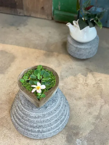 We offer stone plinths carved from black granite to highlight your favorite decor pieces. Here, a small stone plinth elevates a miniature planter, giving it presence and importance.