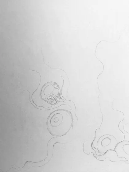 The very first lines of the eyeball tree sketch.