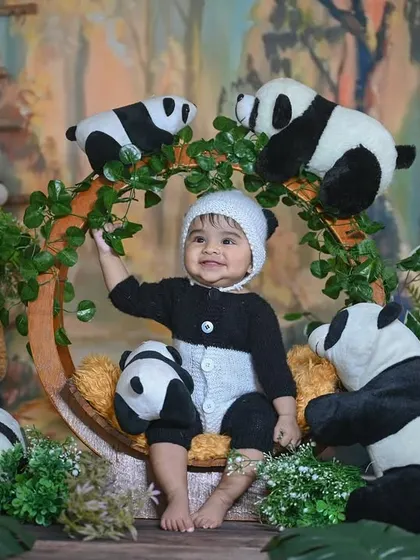 A duplicate of image 92, a curious little panda exploring the set.
