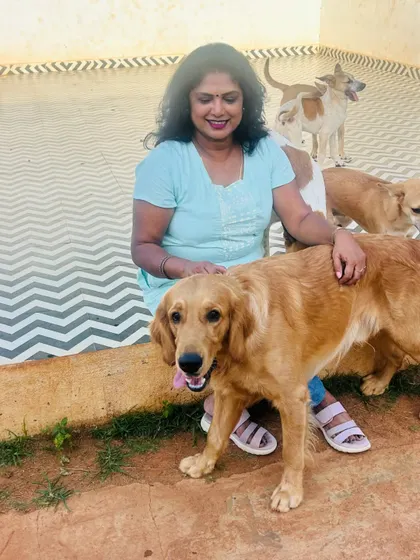 Surrounded by my furry children. A Golden Retriever and some of our Indie friends gather around for some attention.