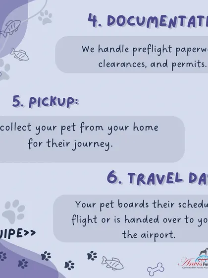 We take care of all the complex preflight paperwork, clearances, and permits. Once everything is ready, we arrange for the pickup of your pet from your home to begin their journey.