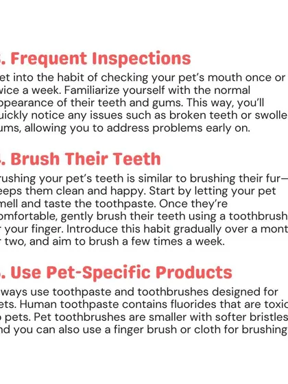 Get into the habit of checking your pet's mouth weekly and brushing their teeth a few times a week. Always use pet-specific toothpaste, as human products can be toxic to them.