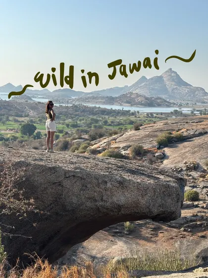 Wild in Jawai. The earthy green text complements the rocky, arid landscape of this stunning location in Rajasthan.