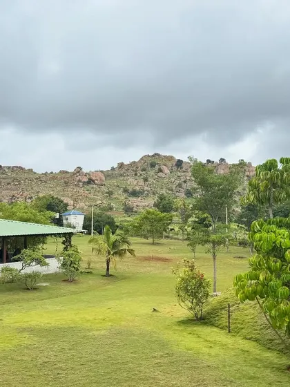 The yoga shala is nestled amongst the trees, with a view of the hill. This placement was intentional, to ensure that even our indoor activities feel connected to the natural world.
