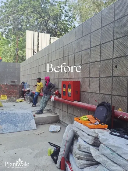 Another 'Before' shot showing the empty wall and the ground being prepared for the installation. Our work involves transforming these underutilized spaces completely.