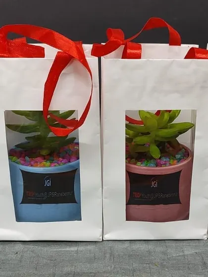 Packaged and ready for a TEDx event with JGI, these succulent gifts feature branded pots and are presented in our signature windowed gift bags with red ribbon handles.
