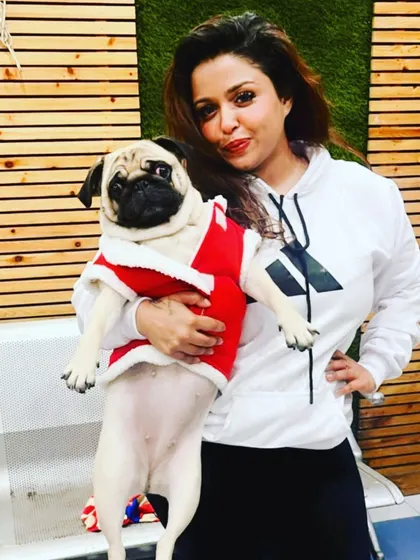 Getting into the festive spirit with this little Santa. I love dressing up my furry guests for special occasions. This Pug is looking absolutely adorable in his Christmas outfit.