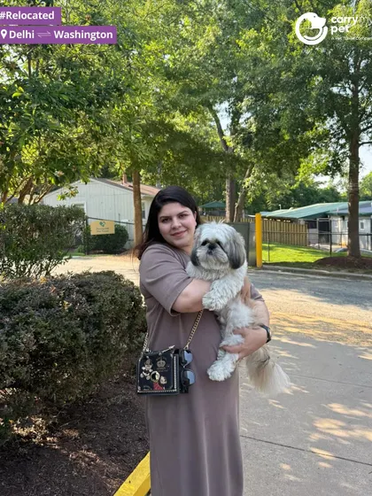 A happy pet parent holds Oreo after his successful journey from Delhi to Washington. I manage the entire process so you can focus on this moment.