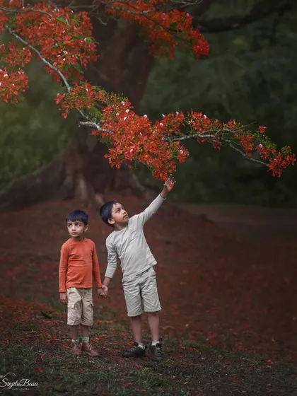 Two brothers exploring under a vibrant Gulmohar tree. The striking red against the natural backdrop creates a visually stunning image that is full of life and childhood adventure.