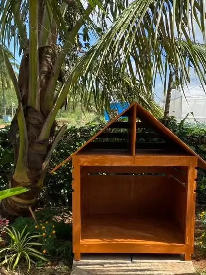 A closer look at one of our custom-built wooden kennels, nestled among the palm trees. We've designed our facilities to be both functional and harmonious with the natural environment of the ranch.
