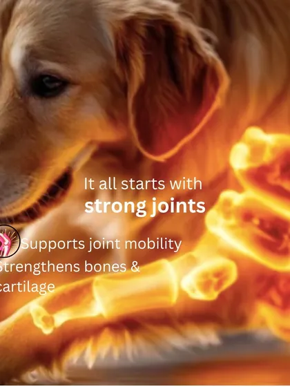 A happy, active life all starts with strong joints. My Mobility Bones are specifically formulated to support joint mobility and strengthen bones and cartilage from the inside out.