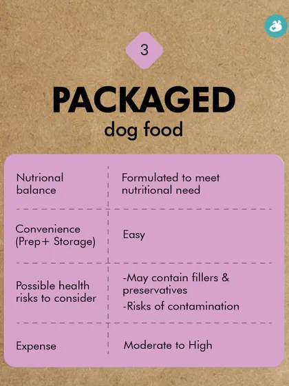 This chart provides a quick comparison of packaged dog food, outlining its pros, like nutritional balance and convenience, and cons, such as the risk of fillers, preservatives, and contamination.