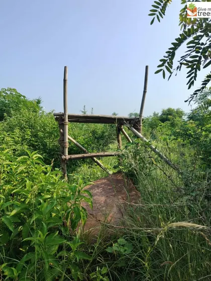 A simple bamboo structure marks a spot within the dense greenery of the Arayna site. We use natural, biodegradable materials to build structures that blend seamlessly into the environment.