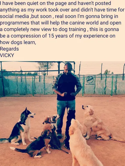 I've been busy working on new programs based on my 15 years of experience. Soon, I will bring a completely new view to the canine world based on how dogs actually learn.