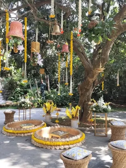 The complete Haldi setup, showing how we use natural elements like the tree as a centerpiece for the decor, integrating the celebration seamlessly with the outdoor environment.