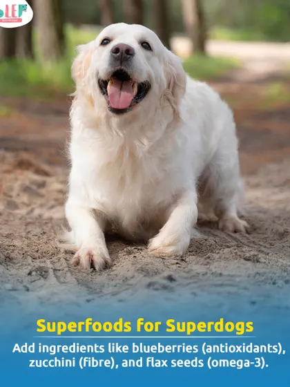 Tip number two for a superdog diet: add superfoods. Ingredients like blueberries for antioxidants, zucchini for fiber, and flax seeds for omega-3s can give your dog a powerful nutritional boost.