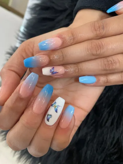 A beautiful blue ombré set with delicate, hand-painted butterfly accents for a touch of whimsy.