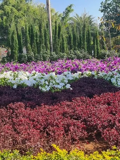 I love creating patterns with color. This flower bed uses stripes of yellow, red, white, and purple plants to create a beautiful, quilt-like effect on the ground.