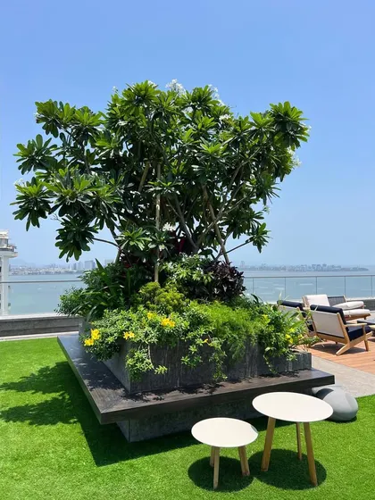A large, custom-built planter serves as a central feature on this terrace, containing a mature Frangipani tree and a mix of flowering plants and cascading greenery. The planter's base doubles as a stone bench, providing integrated seating.