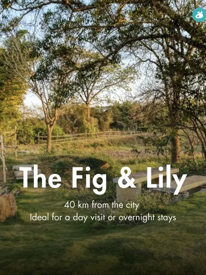 The Fig & Lily, also 40 km away, is a serene location suitable for both day visits and overnight stays with your pet.