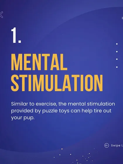 The primary benefit of any puzzle is mental stimulation. Just like physical exercise tires out their bodies, working on a puzzle tires out their brain, leading to a calmer, more relaxed dog.
