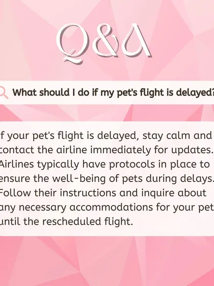 What should you do if your pet's flight is delayed? The first step is to contact the airline. They have protocols to ensure your pet's well-being, and we are here to help manage the situation.