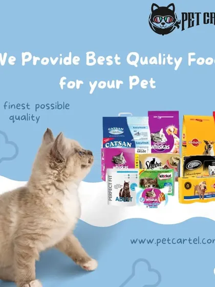 We pride ourselves on providing the best quality food for your pet. This image shows just a fraction of our extensive inventory, covering everything from dry kibble to wet food pouches.
